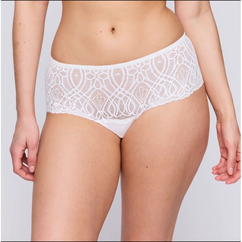 Shorty Salerno Prima Donna