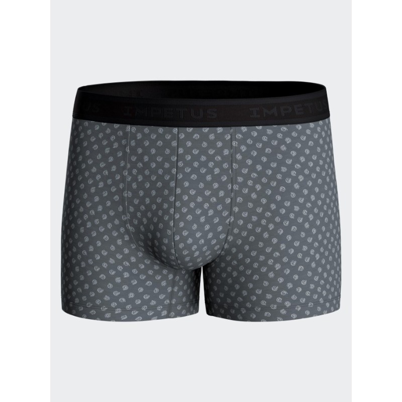 Boxer gris imprimé Impetus