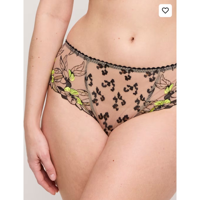 Shorty Manali Wild Prima Donna