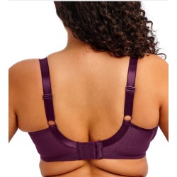 Soutien gorge emboîtant violet Kintai Elomi