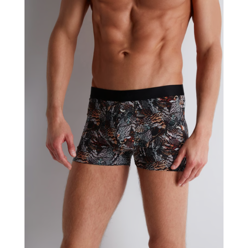 Boxer Owls Aubade