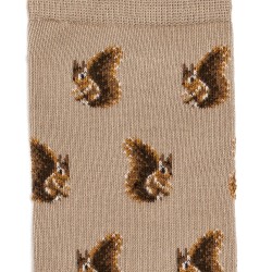 Chaussettes beige coton Écureuils Maison Broussaud