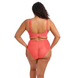 Soutien gorge corail Matilda Elomi