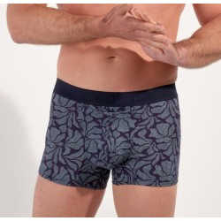 Boxer bleu Long Island Hom