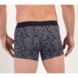 Boxer bleu Long Island Hom