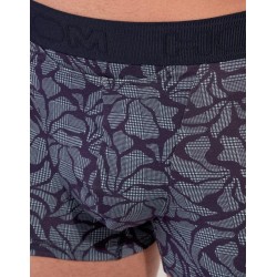 Boxer bleu Long Island Hom